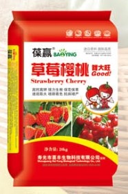 草莓櫻桃甜大旺